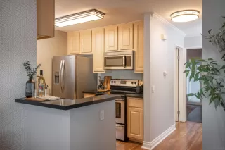 Photo #4: 250038771 Listing 