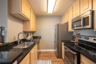 Photo #5: 250038771 Listing 