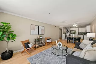 Photo #4: 250038819 Listing