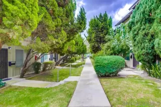 Photo #5: 250038821 Listing 