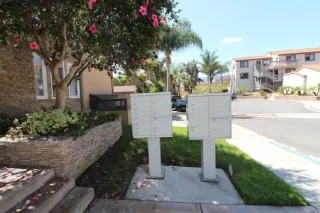 Photo #5: 250038861 Listing