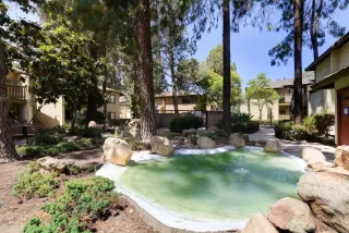 Photo #2: 250038871 Listing