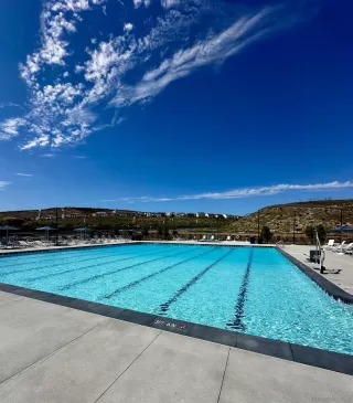 Photo #1: 250038936 Listing 