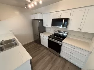 Photo #5: 250039019 Listing 