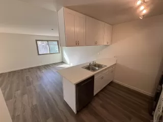 Photo #6: 250039019 Listing 