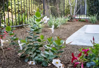 Photo #6: 250039021 Listing 