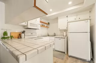 Photo #1: 250039092 Listing 