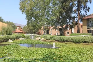 Photo #1: 250039103 Listing 