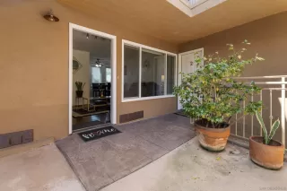 Photo #1: 250039123 Listing 