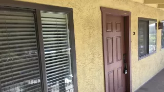 Photo #4: 250039189 Listing 