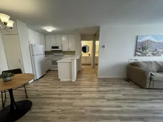 Primary Photo for MLS#: 250039206