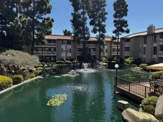 Photo #1: 250039206 Listing 