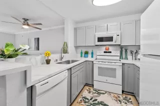 Photo #1: 250039363 Listing