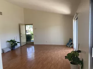 Photo #6: 250039448 Listing