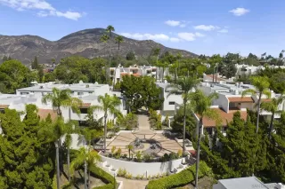 Photo #1: 250039476 Listing