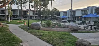 Photo #1: 250039485 Listing