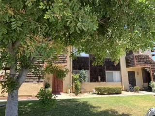 Photo #1: 250039679 Listing