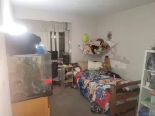 Photo #4: 250039699 Listing