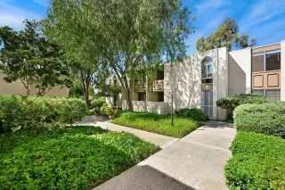 Photo #1: 250039756 Listing