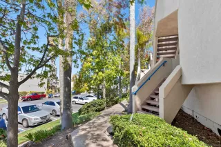 Photo #3: 250039763 Listing 