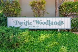 Photo #4: 250039767 Listing 