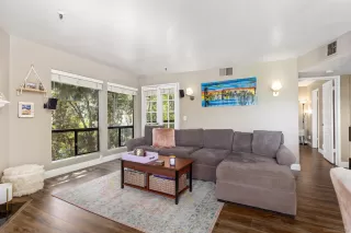 Photo #1: 250039787 Listing 