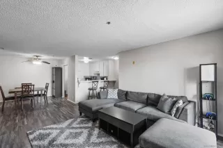 Photo #1: 250039998 Listing 