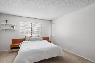 Photo #3: 250039998 Listing 