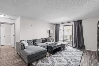 Photo #6: 250039998 Listing 