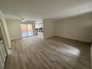 Photo #4: 250040101 Listing 