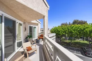 Photo #1: 250040217 Listing 