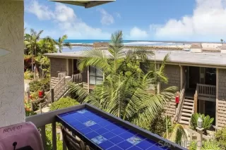 Photo #1: 250040296 Listing 