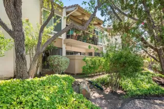 Photo #1: 250040332 Listing 