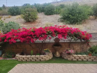 Photo #4: 250040361 Listing 