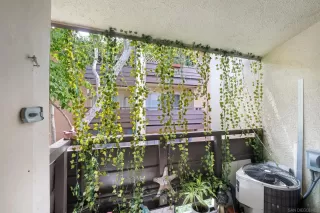 Photo #5: 250040500 Listing 