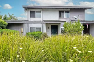 Photo #3: 250040504 Listing