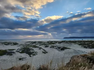 Photo #2: 250040536 Listing 