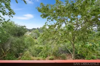 Photo #4: 250040593 Listing 