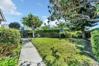 Photo #1: 250040614 Listing 