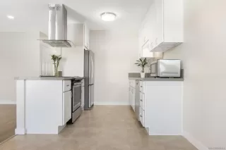 Photo #2: 250040641 Listing 