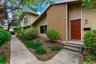 Photo #1: 250040644 Listing 