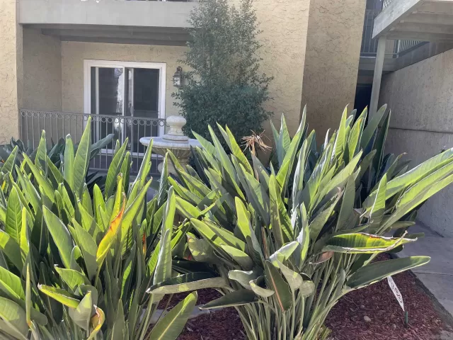 MLS: 250040696 Condo For Sale