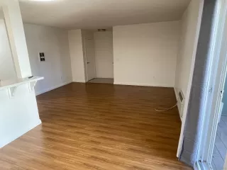 Photo #4: 250040696 Listing 