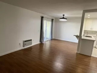 Photo #5: 250040696 Listing 