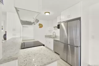 Photo #1: 250040702 Listing 