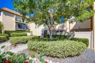 Photo #1: 250040770 Listing 