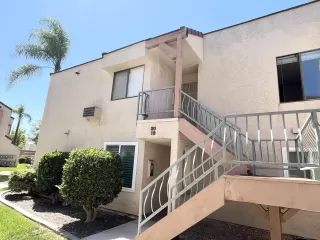 Photo #1: 250040859 Listing 