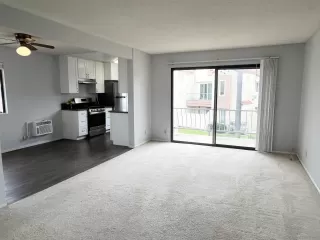 Photo #2: 250040859 Listing 