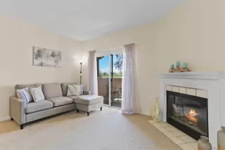 Photo #1: 250040903 Listing 