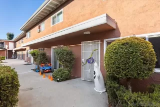 Photo #1: 250040951 Listing 